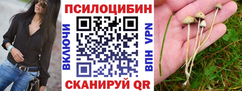 МЕГА маркетплейс  Шагонар  даркнет состав  Псилоцибиновые грибы ЛСД 